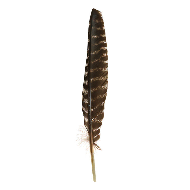 Shell Smudging Kit