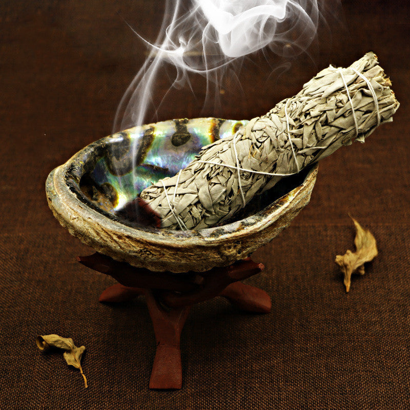 Shell Smudging Kit
