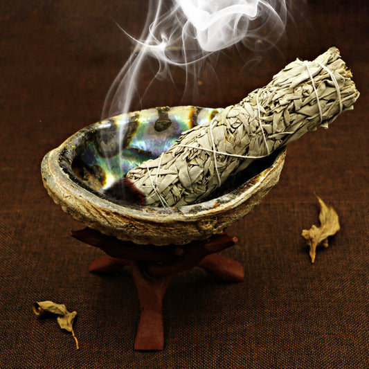 Shell Smudging Kit