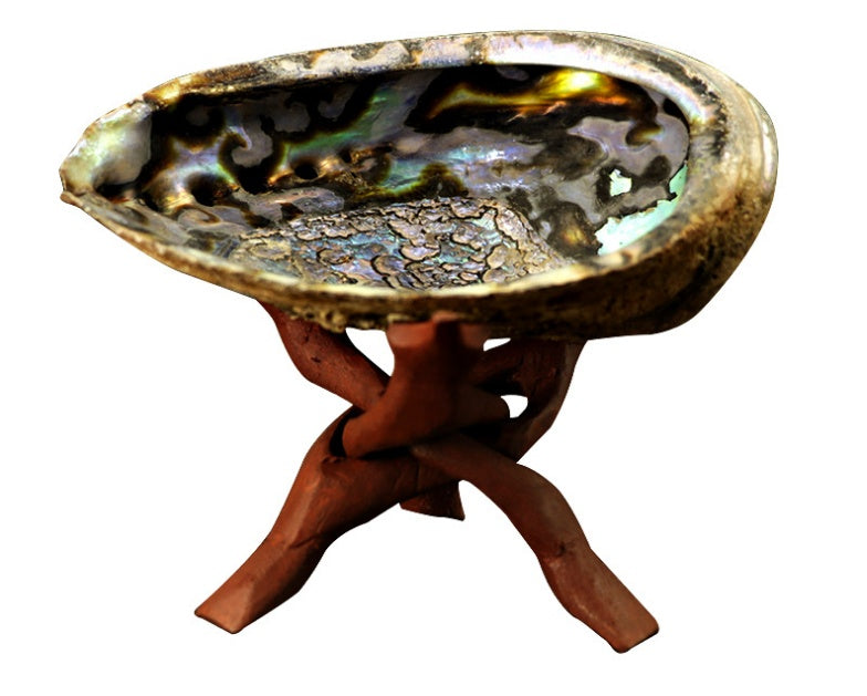 Shell Smudging Kit